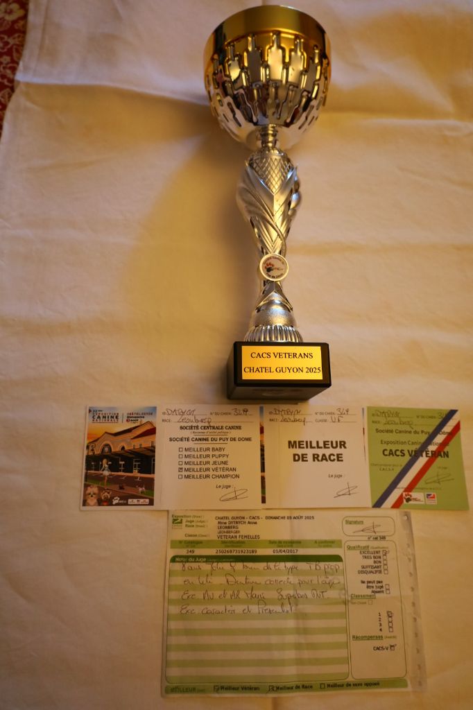 Nouchka meilleure de race à Chatel Guyon